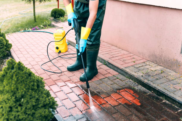 Solar Panel Cleaning in Wilmington Manor, DE